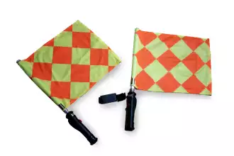 Pair of electronic flags for referees