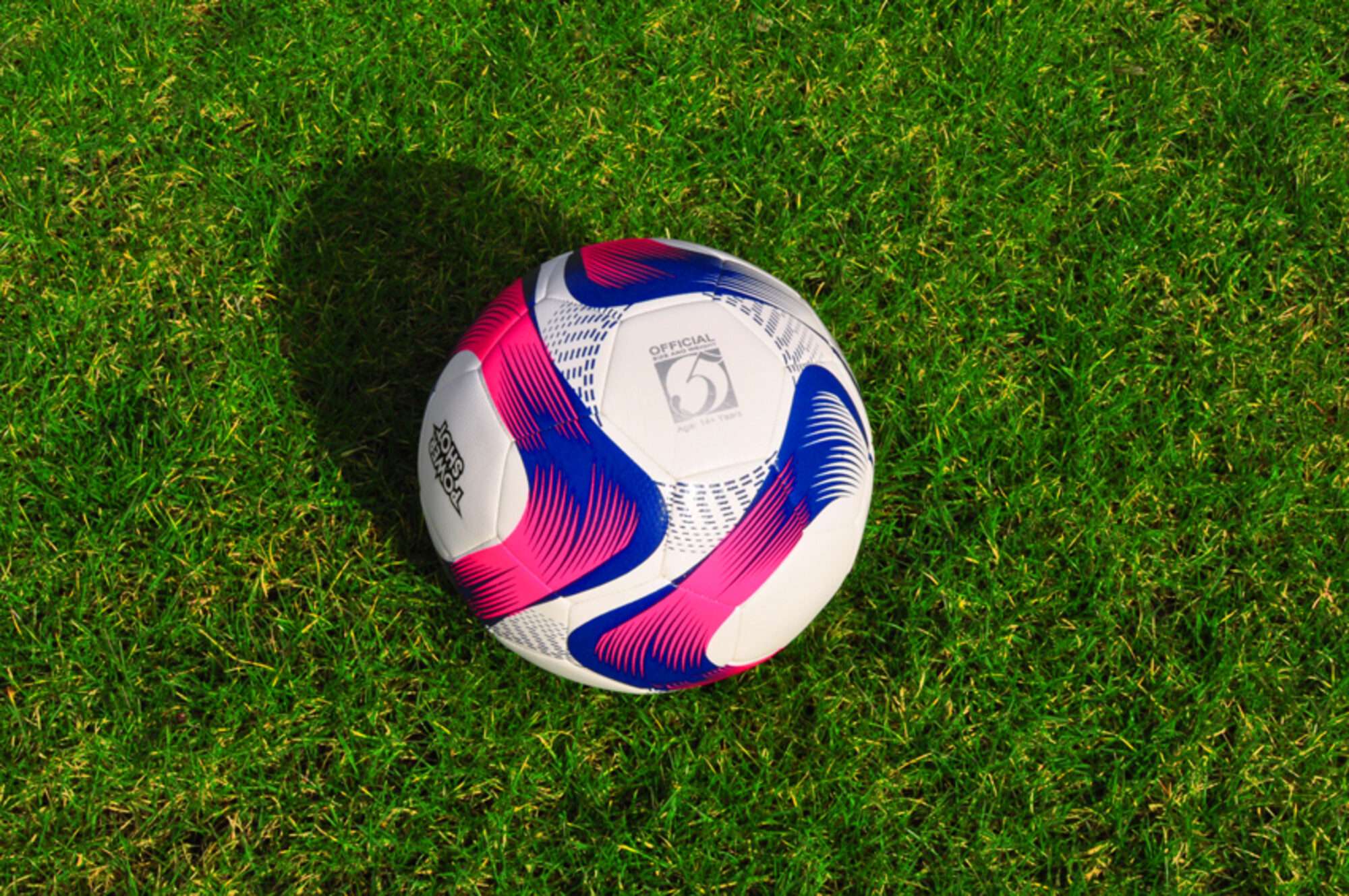 Image du produit : POWERSHOT® soccer ball - T.5