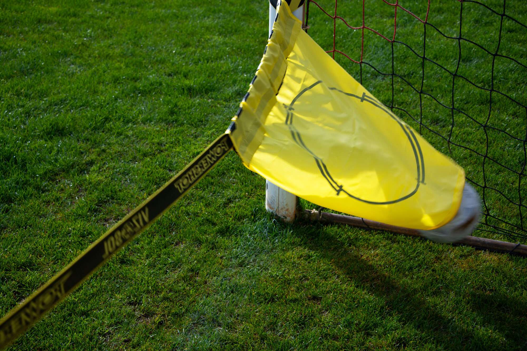 Image du produit : VIZOSOL (goal at 11) - 76% of goals scored are on the ground!