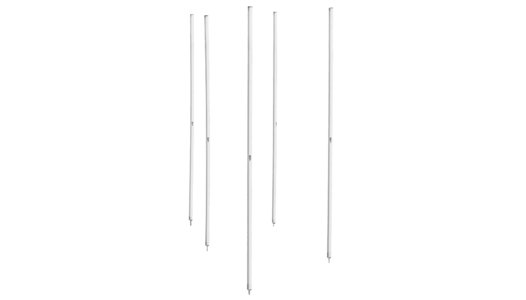 Image du produit : Set of 5 white slalom poles